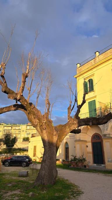 La Cupola Dei Sogni Villa เนเปิลส์ ภายนอก รูปภาพ